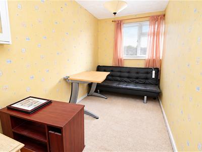 Picture 11